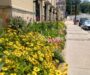 Commission approves $435K in Hotel/Motel tax awards to various groups