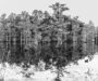 Berkeley Springs photographer selected for international nature photo exhibition