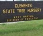 Governor says plan will protect historic trees at former state nursery property